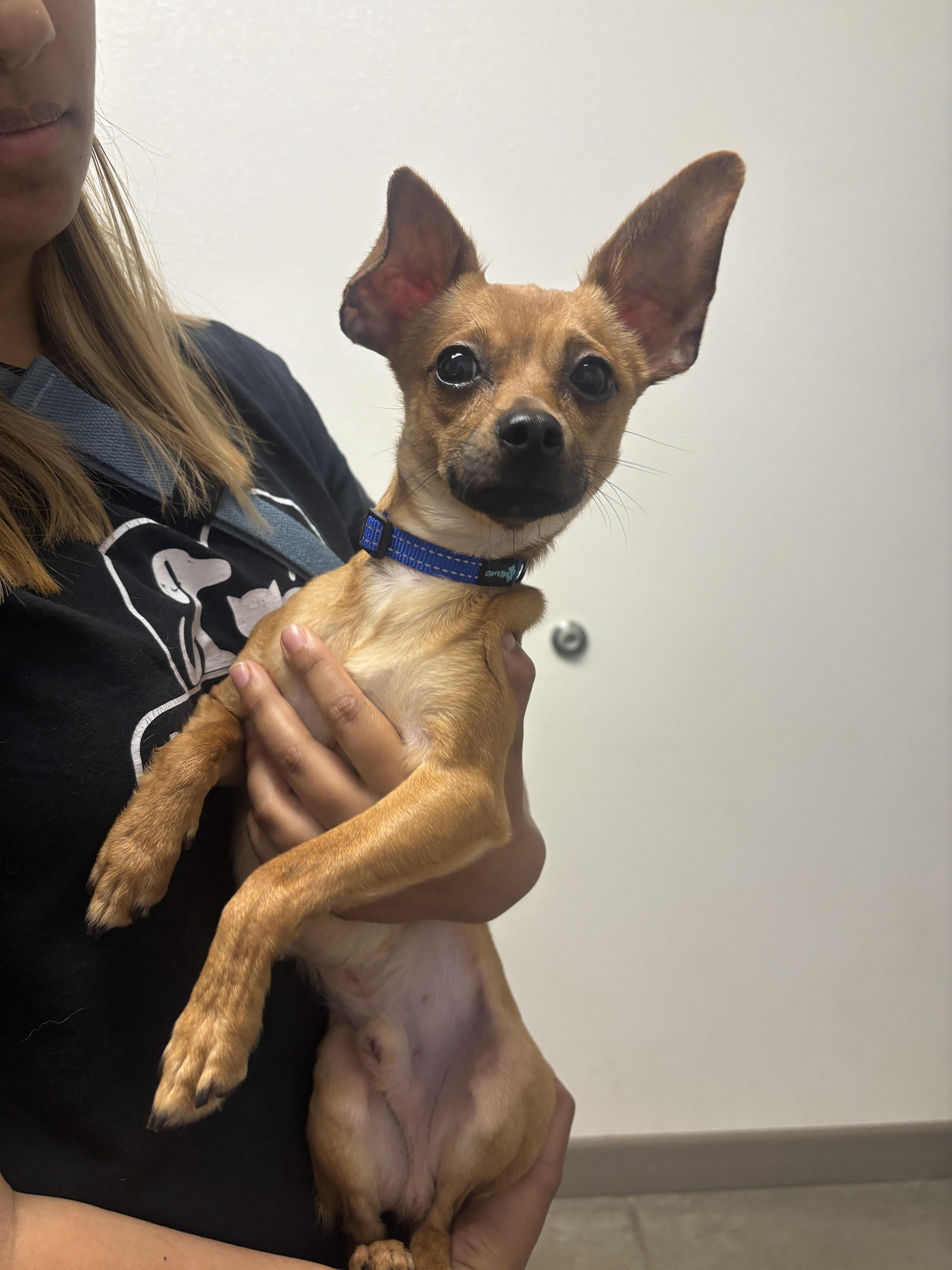 Sherlock thumbnail 2