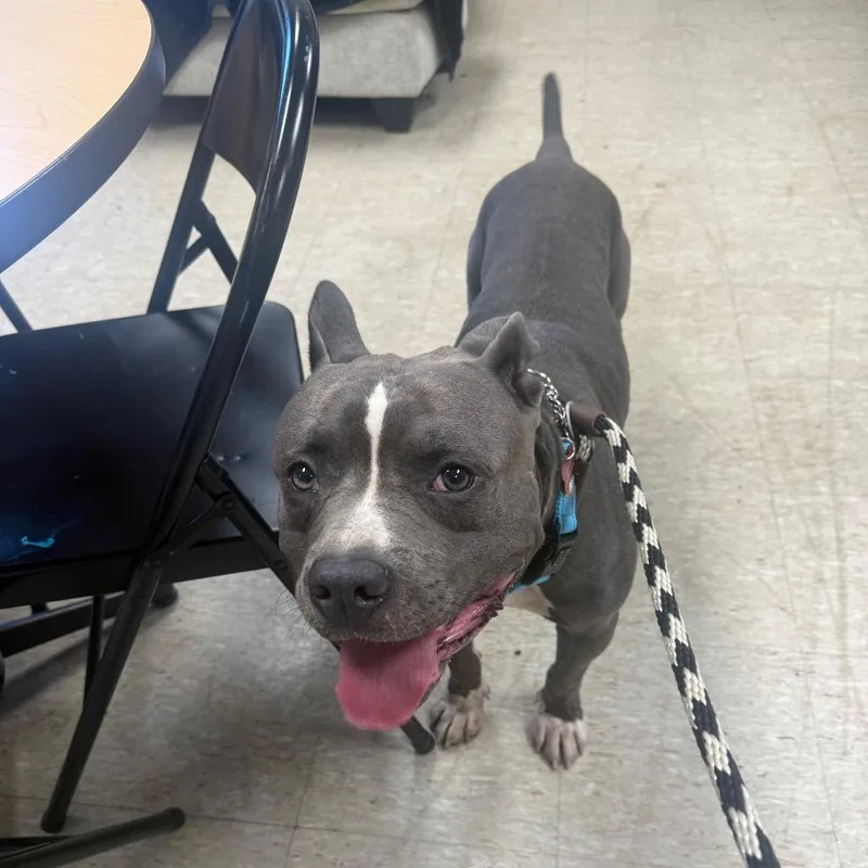 Max