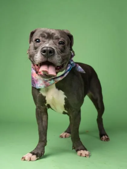 Snowbank thumbnail 2