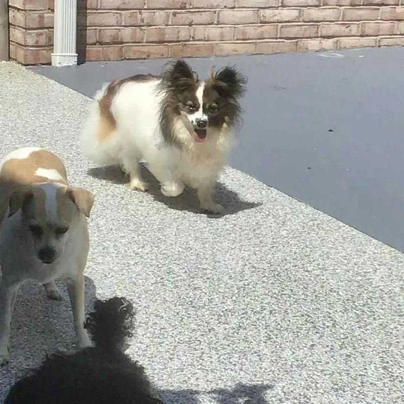 Gigi Bardot thumbnail 2