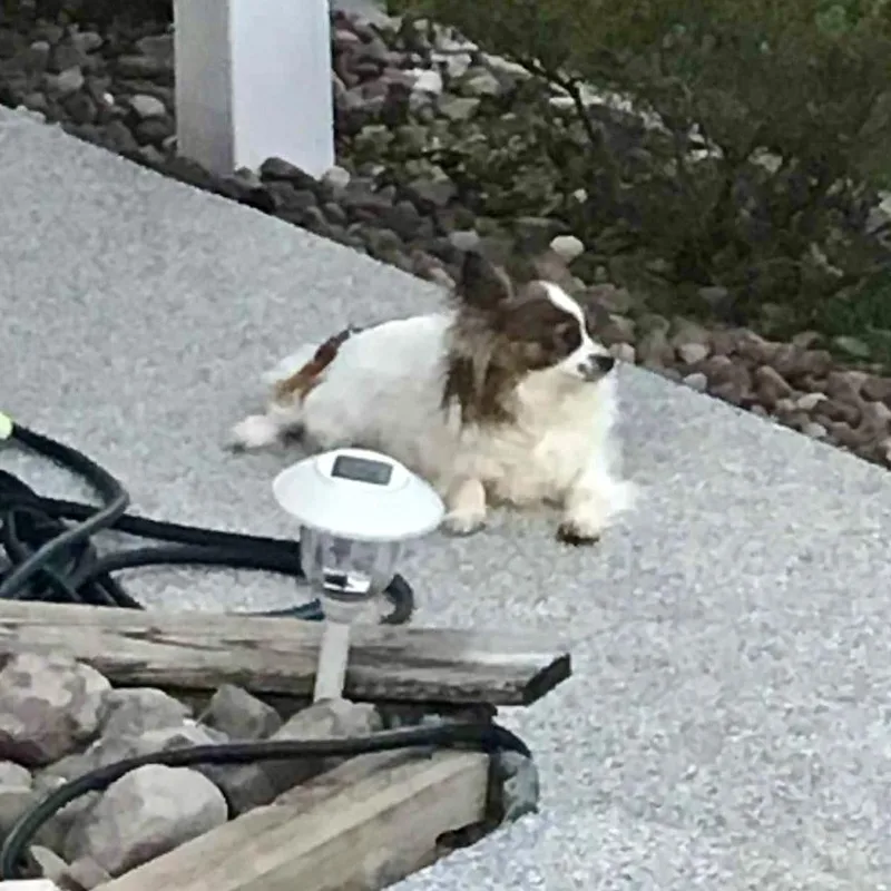 Gigi Bardot thumbnail 3