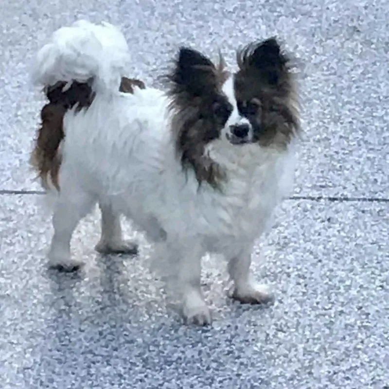 Gigi Bardot thumbnail 4