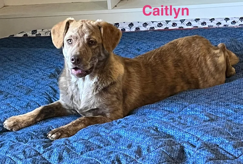Caitlyn thumbnail 4
