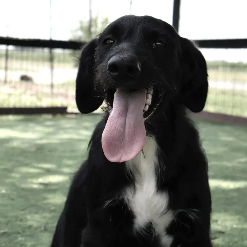 Karter Jum thumbnail 2