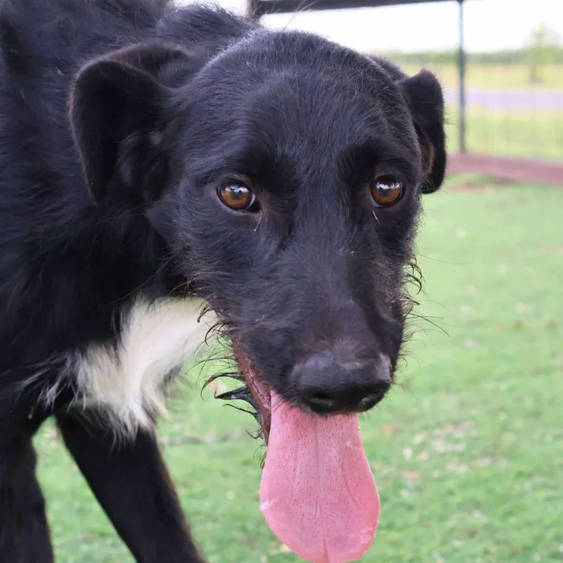 Karter Jum thumbnail 5