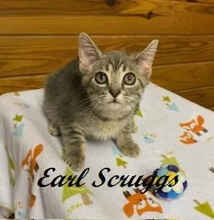 Earl Scruggs thumbnail 3