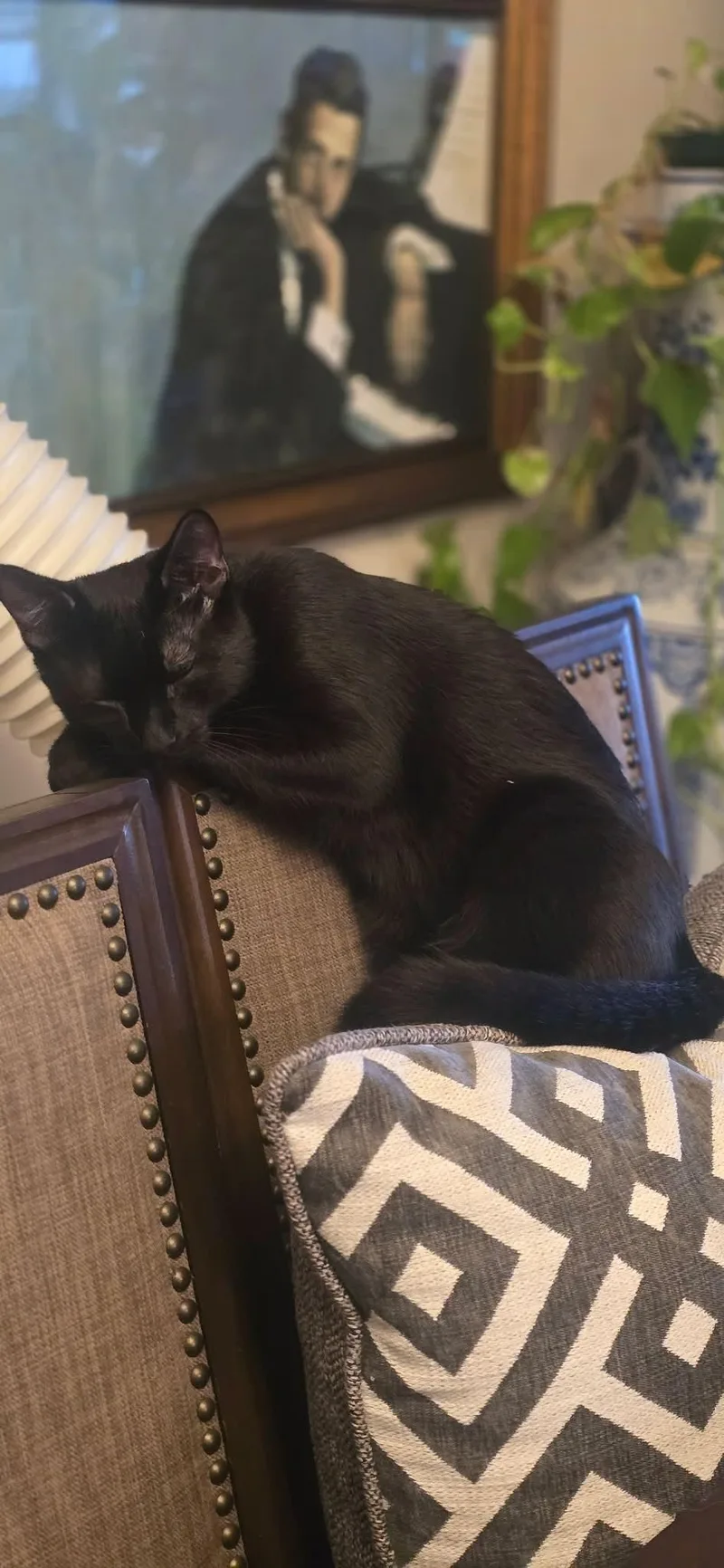 Mittens thumbnail 2