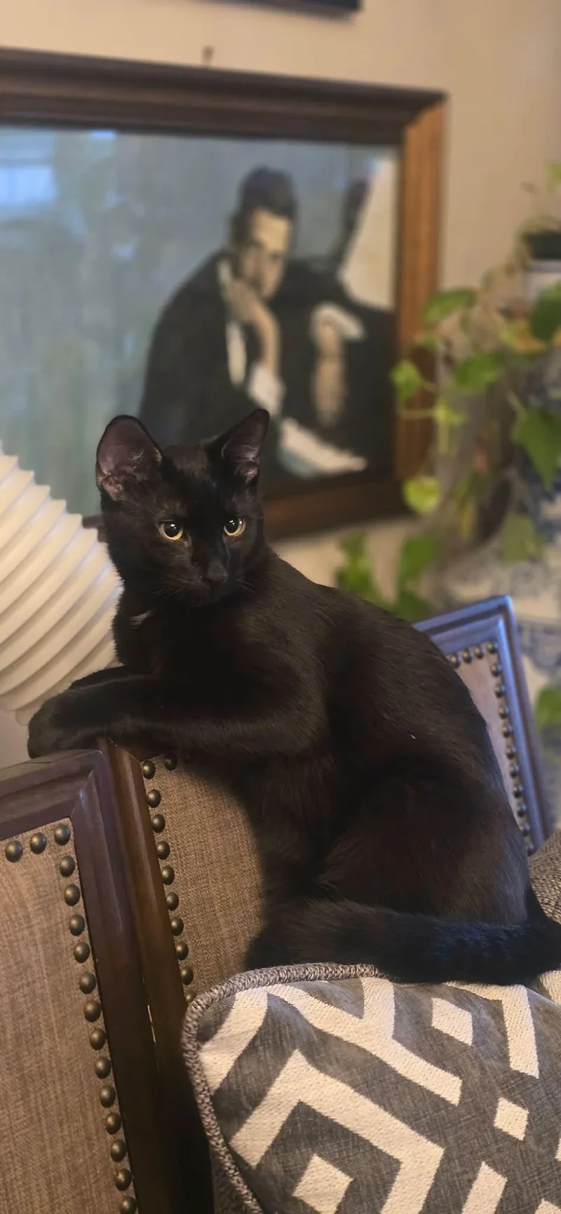 Mittens thumbnail 5