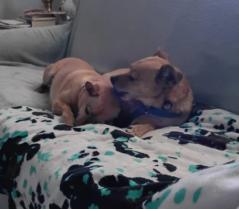 Amber & Petey thumbnail 3