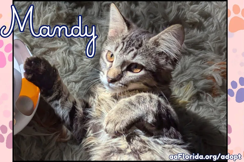 Mandy thumbnail 2