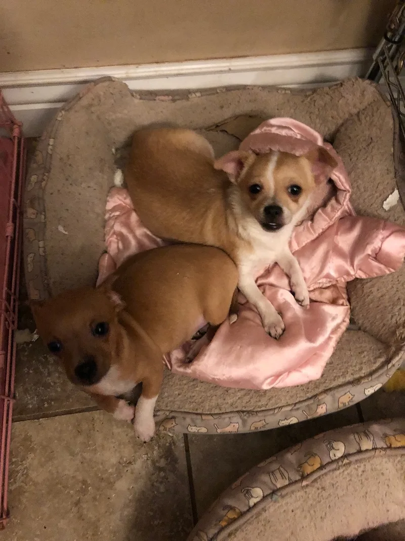 Pedro And Maria thumbnail 2