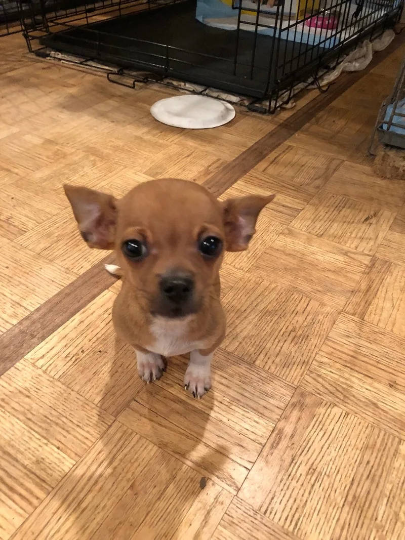 Pedro And Maria thumbnail 3