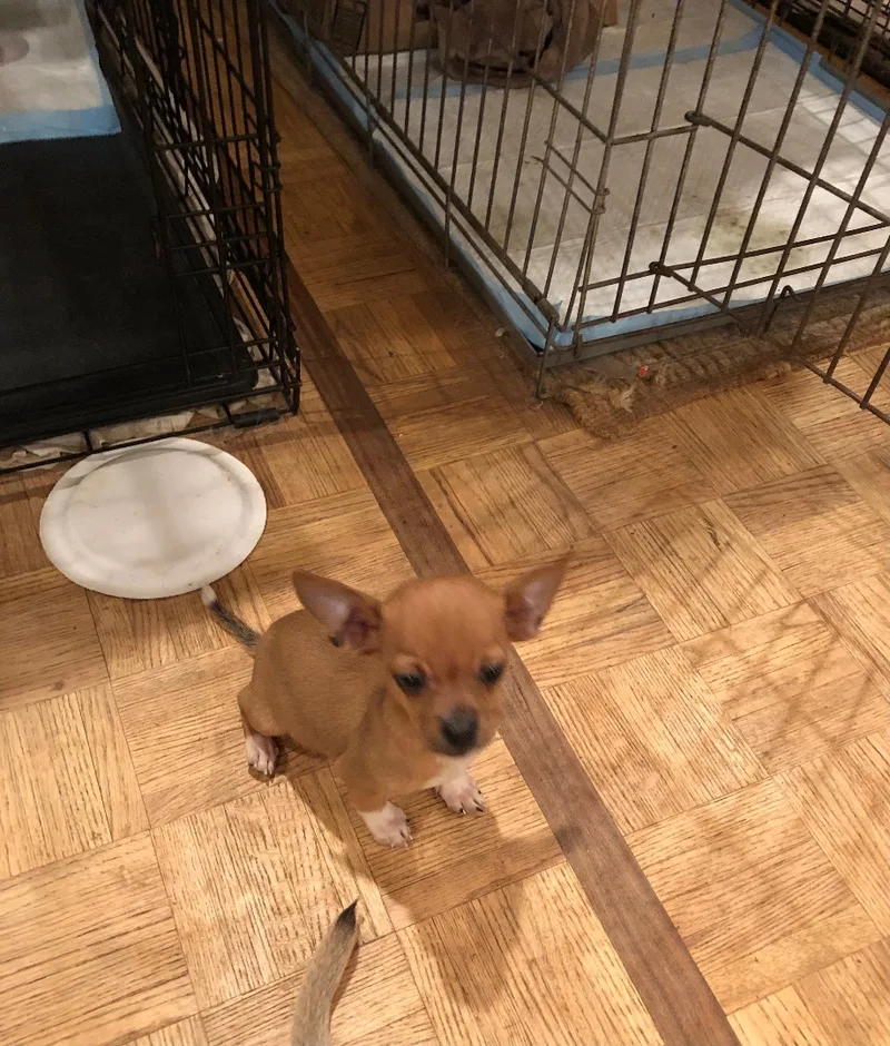 Pedro And Maria thumbnail 4