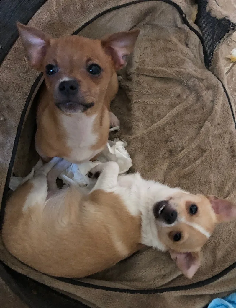 Pedro And Maria thumbnail 5