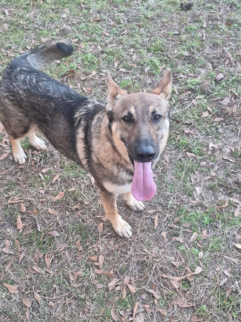 Athena Amazing thumbnail 2