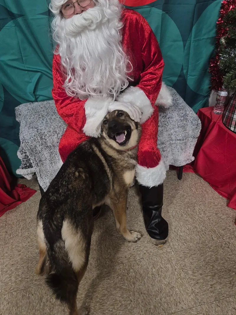 Athena Amazing thumbnail 3