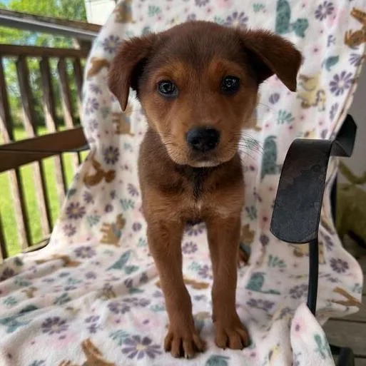 Buildabear thumbnail 2