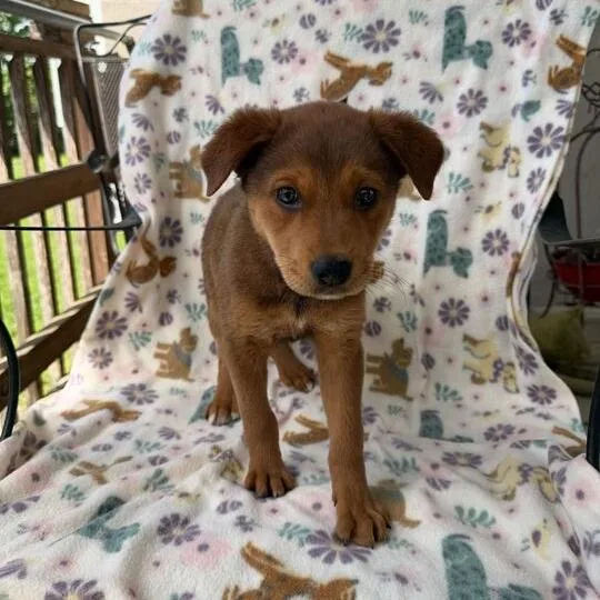 Buildabear thumbnail 3