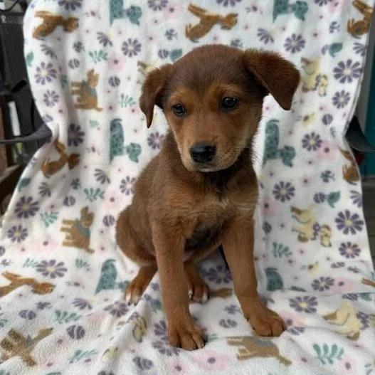 Buildabear thumbnail 4