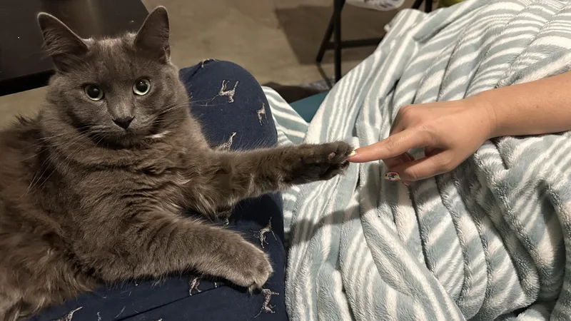 Macy Gray thumbnail 3