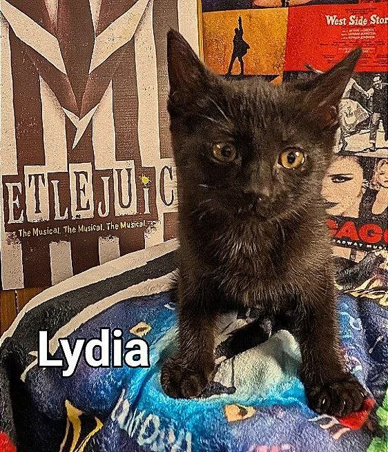 Lydia thumbnail 2