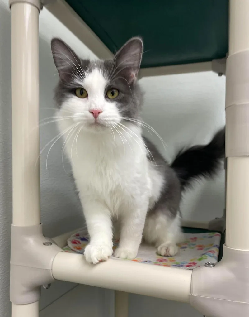 Willow And Casey thumbnail 2