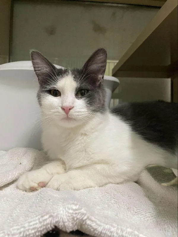 Willow And Casey thumbnail 3