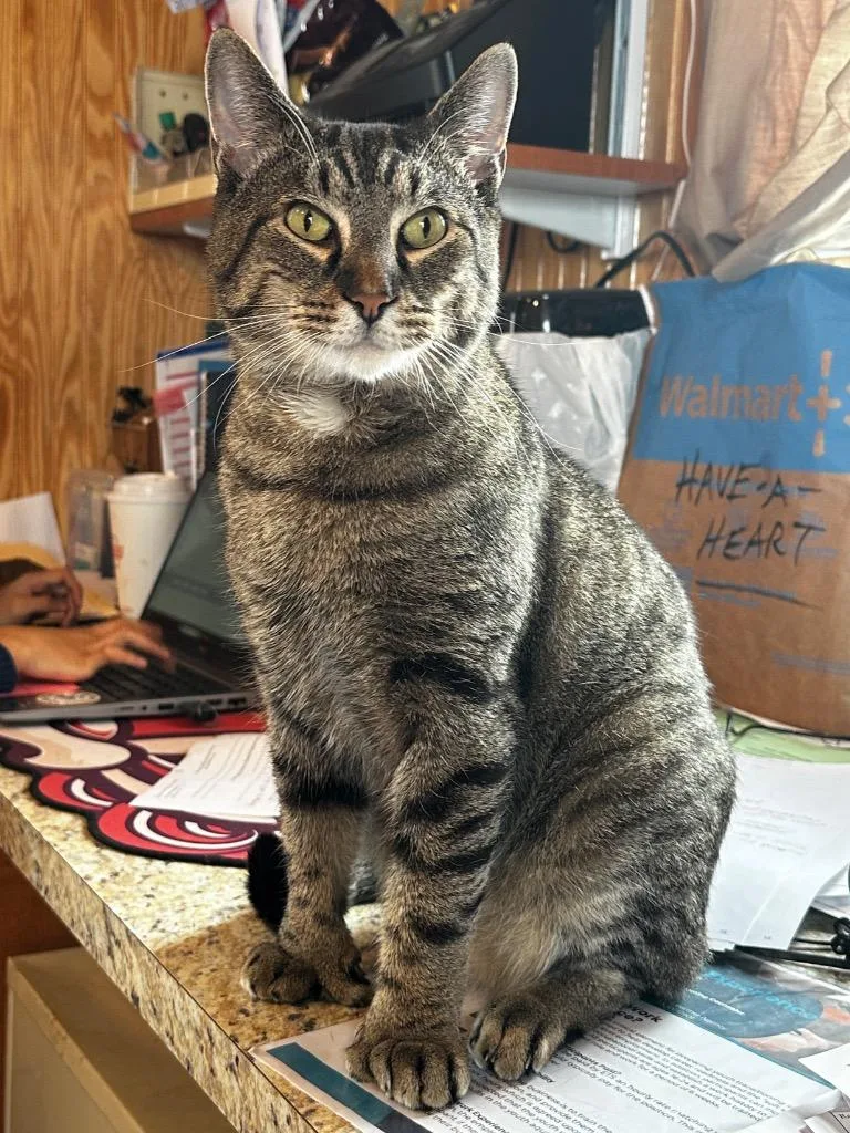 Tigger