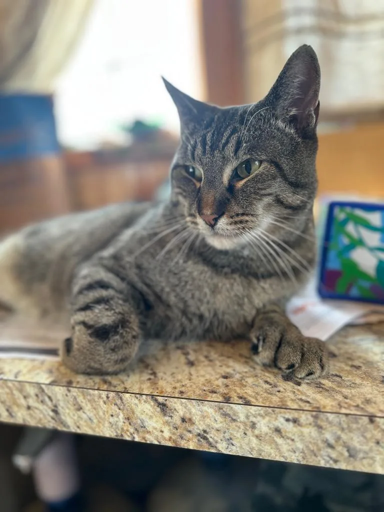 Tigger thumbnail 2