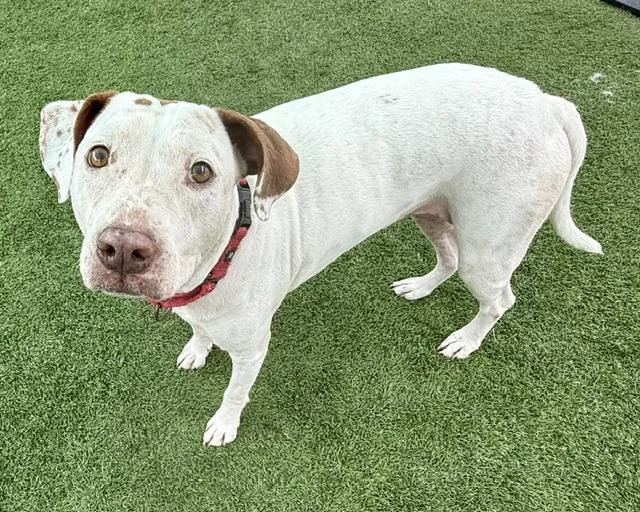 Lena