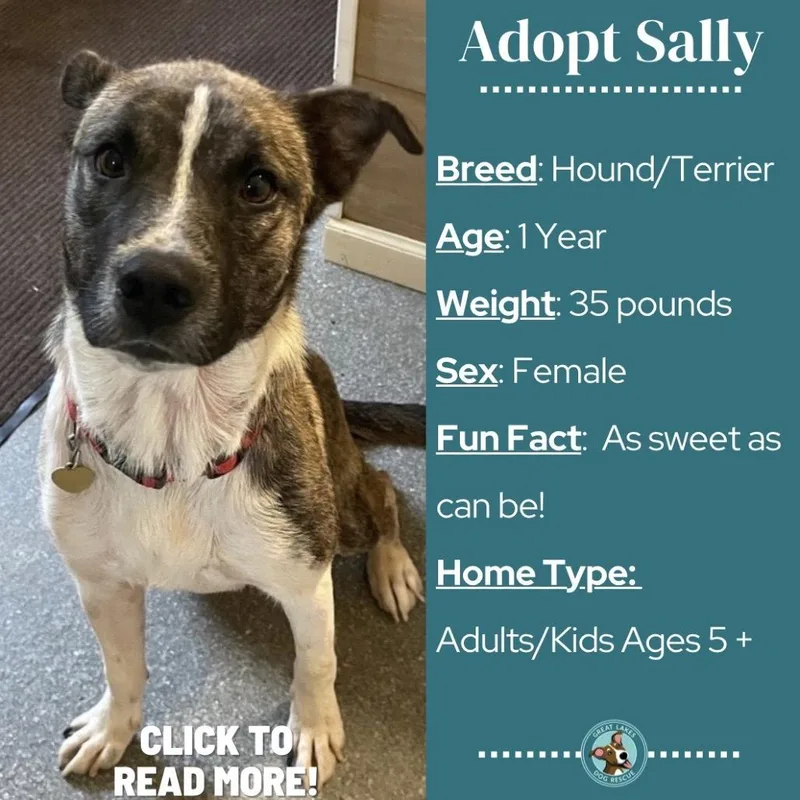 Sally