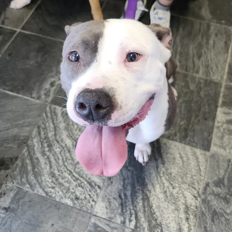 Nala