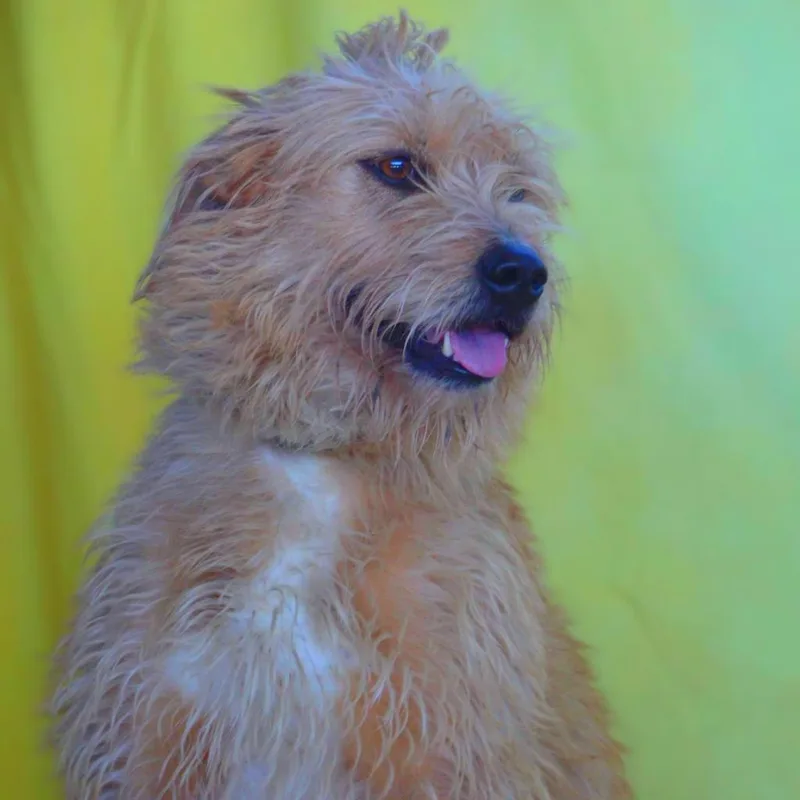 Maya Jum thumbnail 6