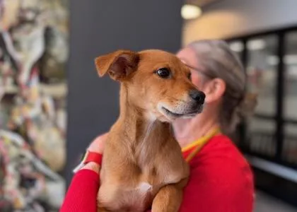 Munequita thumbnail 2