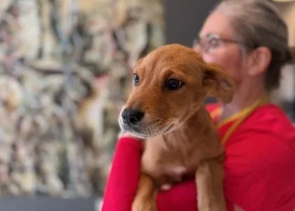 Munequita thumbnail 3