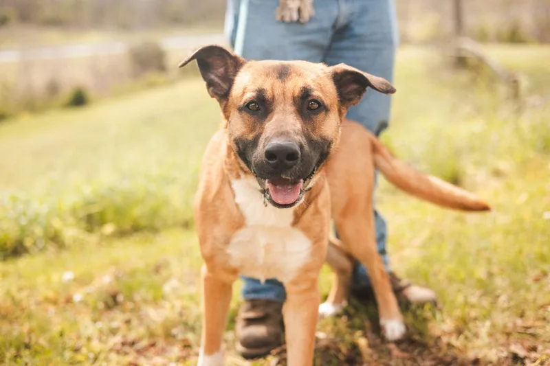 Dieseltransport thumbnail 5