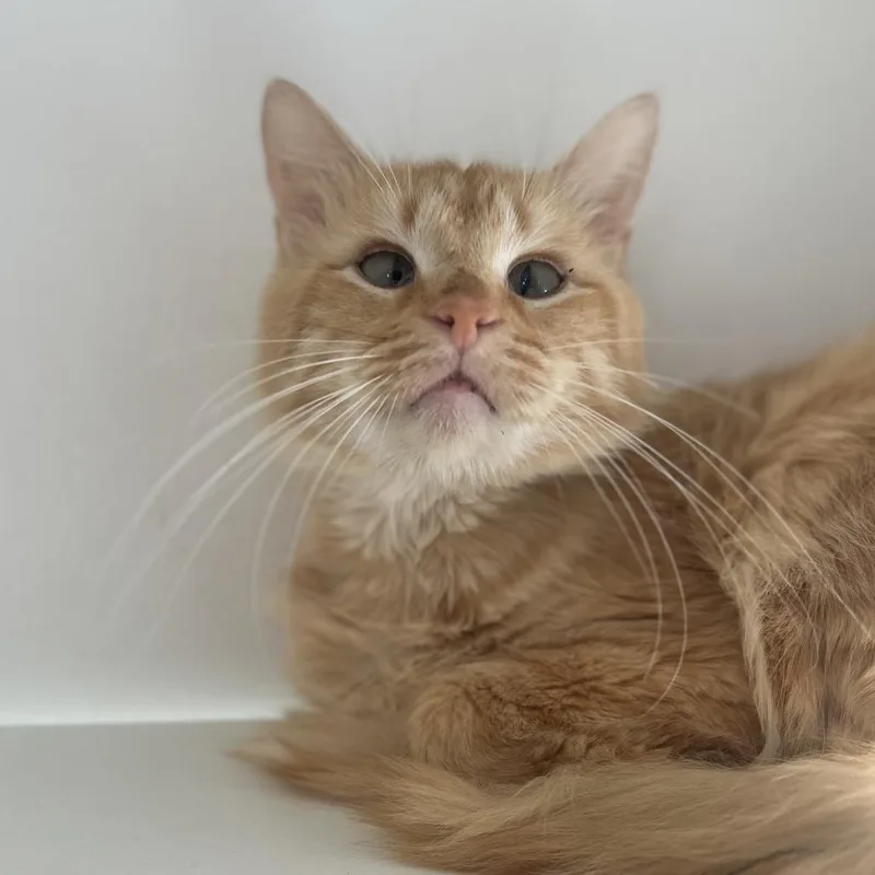 Uncle Baby Billy thumbnail 2