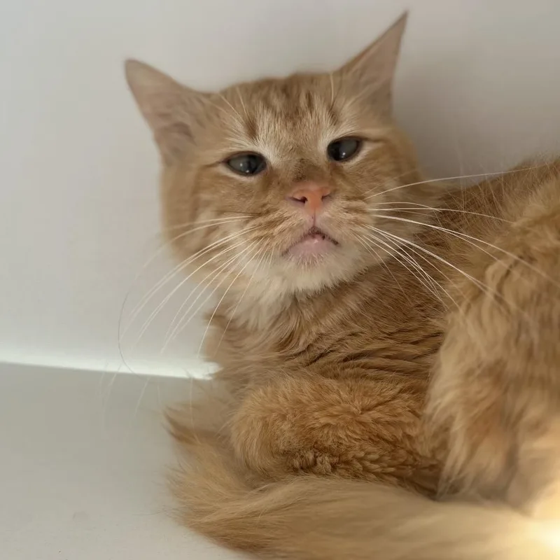 Uncle Baby Billy thumbnail 3