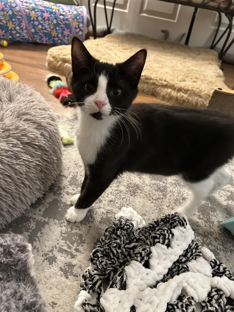 Jay + Robin thumbnail 2