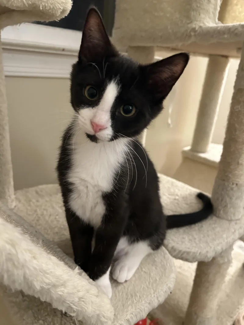 Jay + Robin thumbnail 6