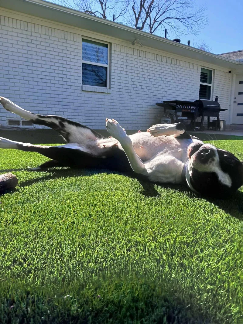 Betty Jo thumbnail 2