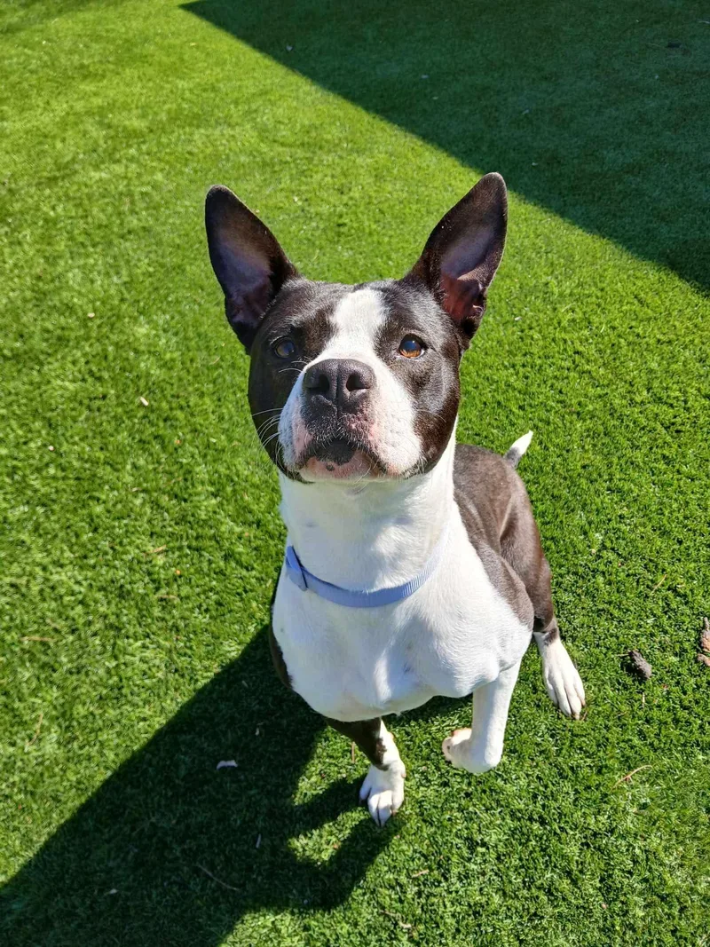 Betty Jo thumbnail 3