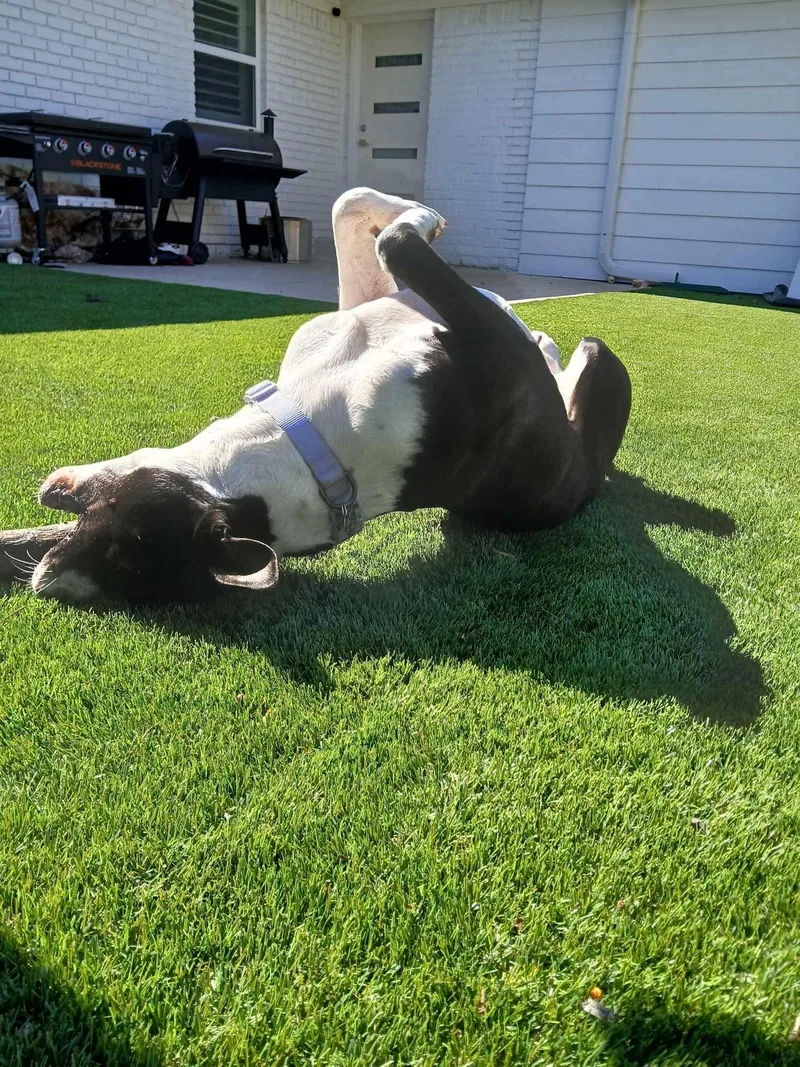 Betty Jo thumbnail 4