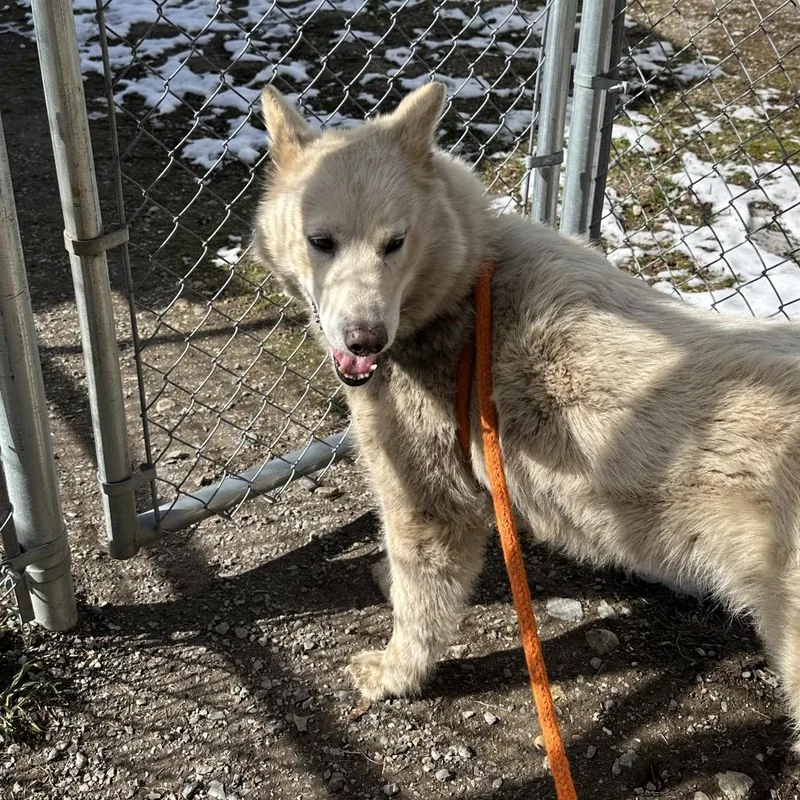 Suzielou thumbnail 3