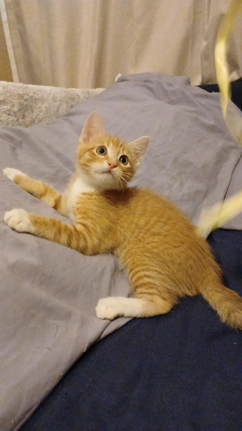 Colby thumbnail 2