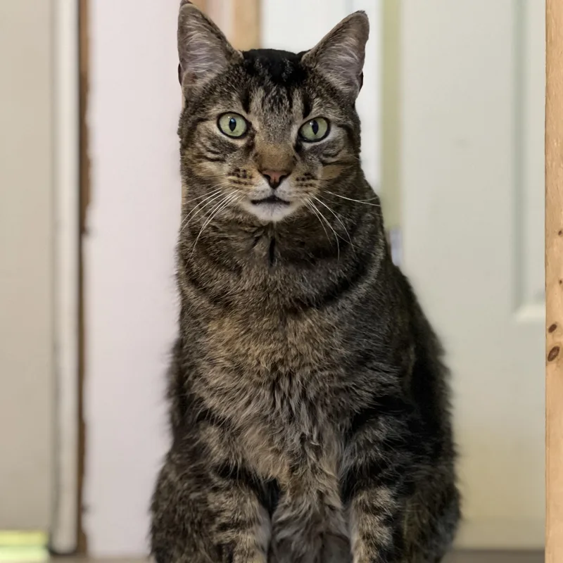 Mr. Bubs thumbnail 2