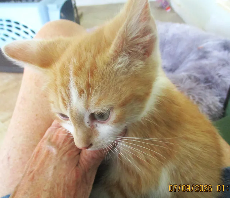 Gracie thumbnail 5