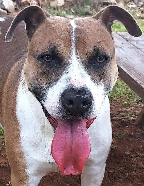 Champion thumbnail 3