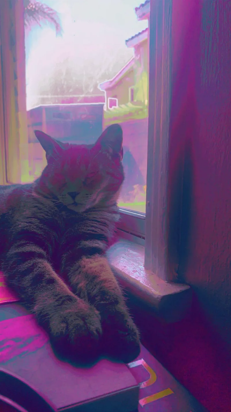 Ari thumbnail 3