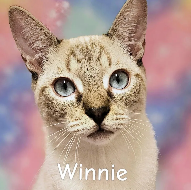Winnie  Rancho Cucamonga thumbnail 4